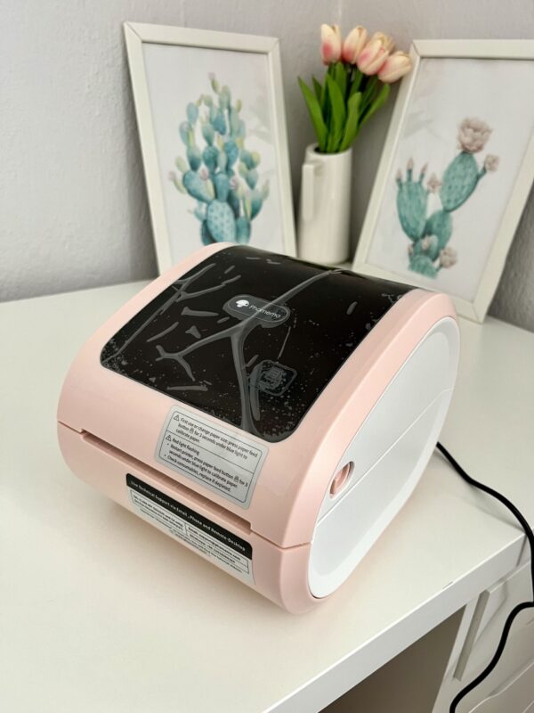 D520 Rose